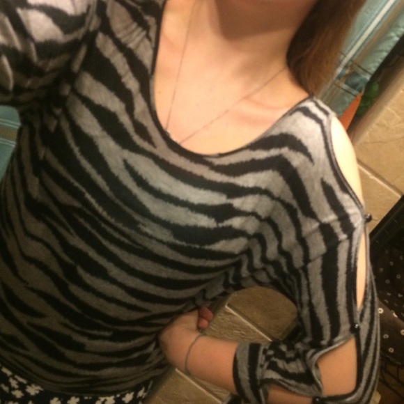 Zebra - Picture 2 of 3