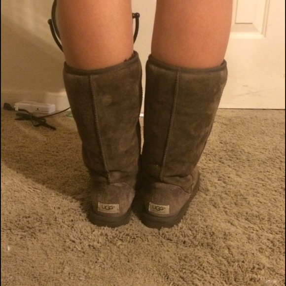 Chocolate tall uggs