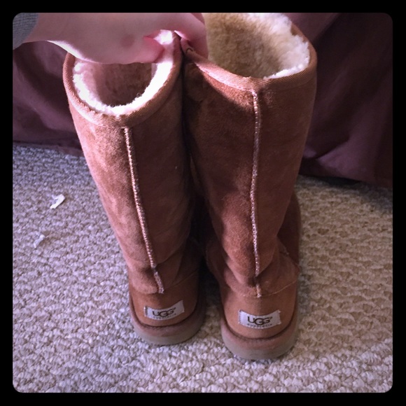 Tall chestnut Uggs - Picture 1 of 3