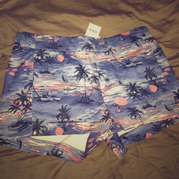 J crew shorts 3"