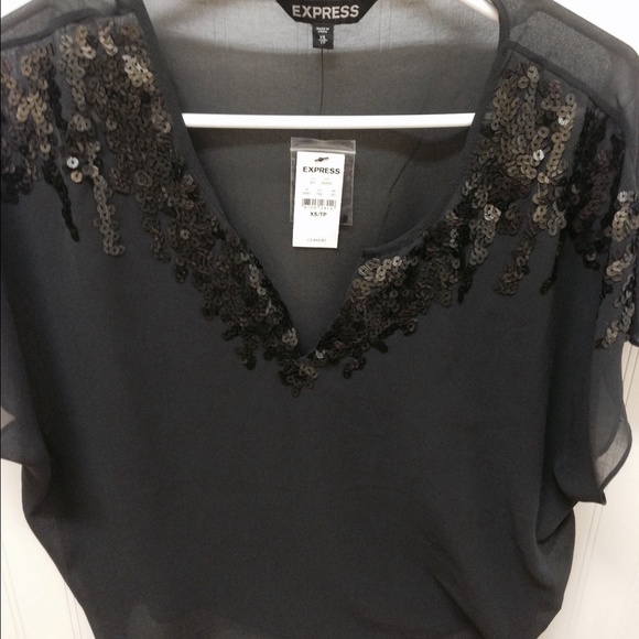 Express Sheer Blouse