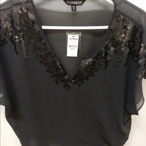 Express Sheer Blouse