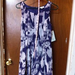 Violet and white dress