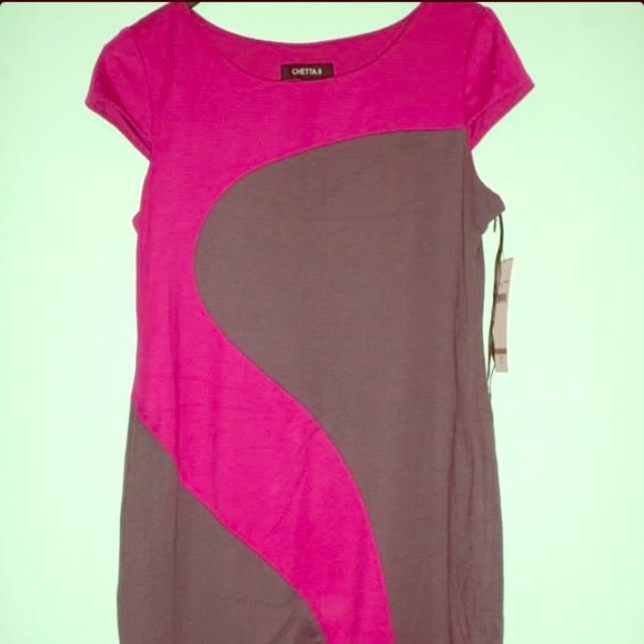 Pink and gray mod sheath dress NWT