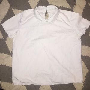 American apparel chambray collared shirt