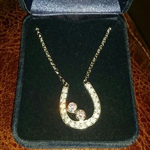 Horseshoe Necklace