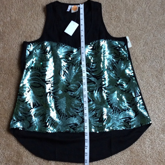 🚫SOLD🚫🎉Host Pick 🎉NWT sheer teal sequin top - Picture 3 of 4