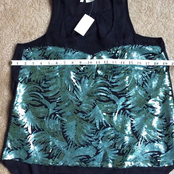 🚫SOLD🚫🎉Host Pick 🎉NWT sheer teal sequin top - Picture 4 of 4