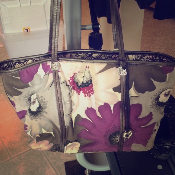 Brighton purse/tote
