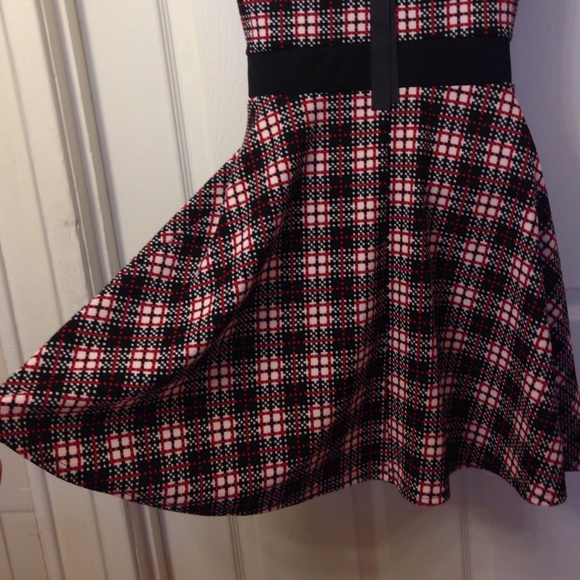 Gorgeous Skater Dress - Picture 3 of 4