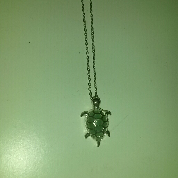 sterling silver and jade necklace (negotiatable)