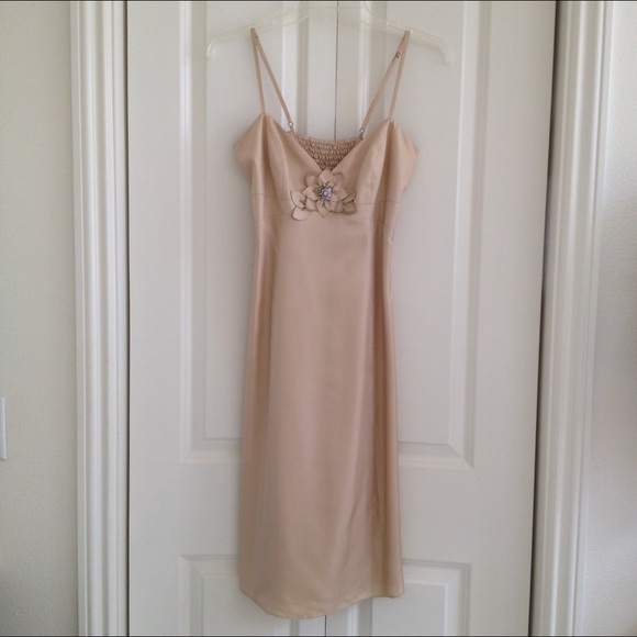 NWT Rebecca Taylor Champagne Silk Dress - sz 6
