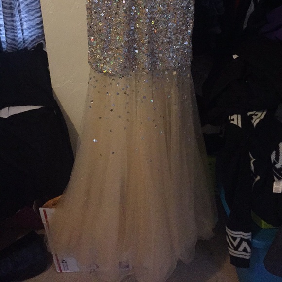 Prom Dress - Picture 3 of 3