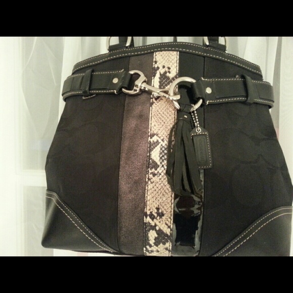 Coach Hampton Signature Python Stripe - Picture 2 of 4