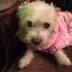 Lady loves to shop on Posh too!
