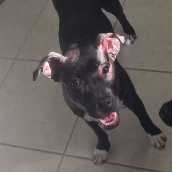 Happiness 👍 - Picture 2 of 2