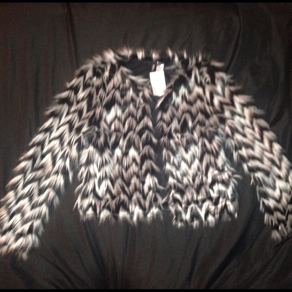 H&M Fur Coat
