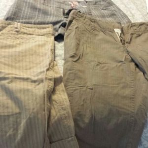 Lot of spring dress shorts
