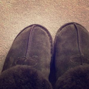 Brown slipper bear paws