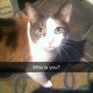 ‼️Meet your Seller/Buyer ‼️❌⭕️❌⭕️