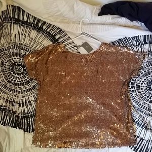 7 for all mankind sequined top