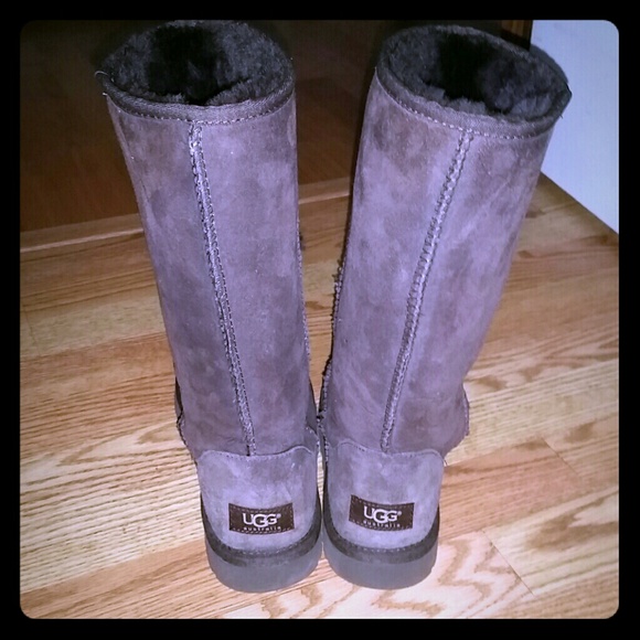 NEW UNWORN TALL UGG BOOTS IN CHOCOLATE