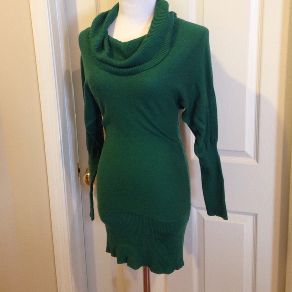 Arden B Tunic Sweater
