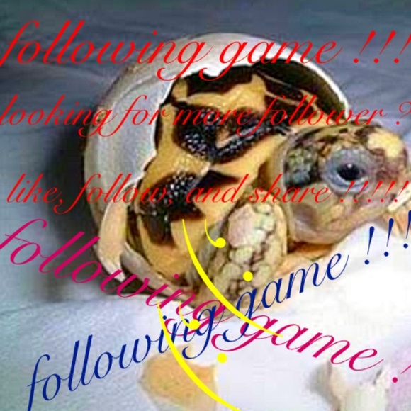 Following game !!!!