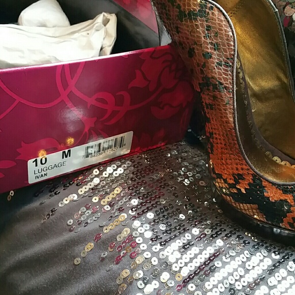 Spectacular python pumps - Picture 3 of 4