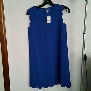 J crew shift dress