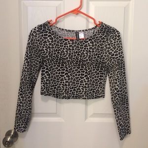 Long-sleeved Cheetah Crop Top