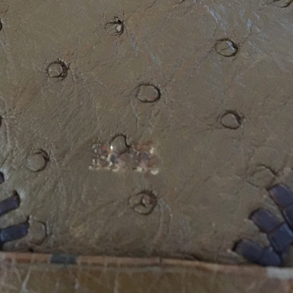 Vintage Ostrich Clutch! - Picture 2 of 4
