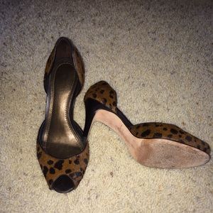 Ann Taylor shoes 5.5 animal print!