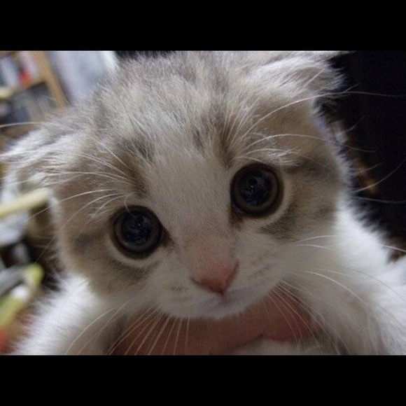 I want you...