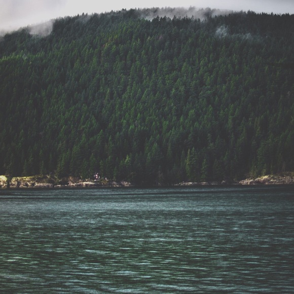 Gray and black Meggy tanks. BNWT