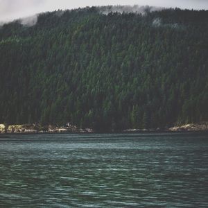 Gray and black Meggy tanks. BNWT