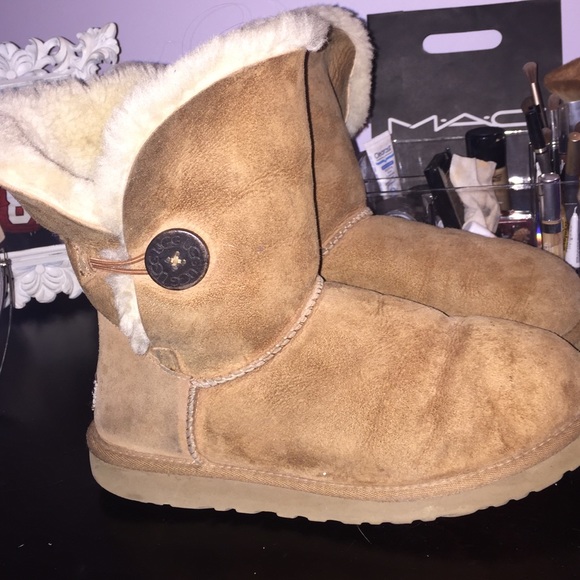 Bailey Button Chesnut Uggs