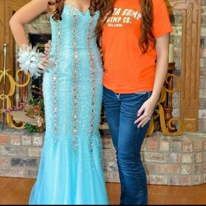 Terani 2013 prom dress