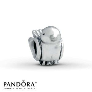 BUNDLE PANDORA CHARMS