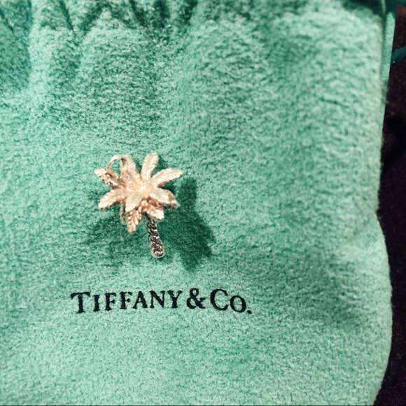 NFS! Authentic Tiffany & Co. Charm Bracelet - Picture 4 of 4