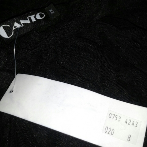 Canto Sheer Ruffled Sleeve Top NWT *Black* - Picture 4 of 4