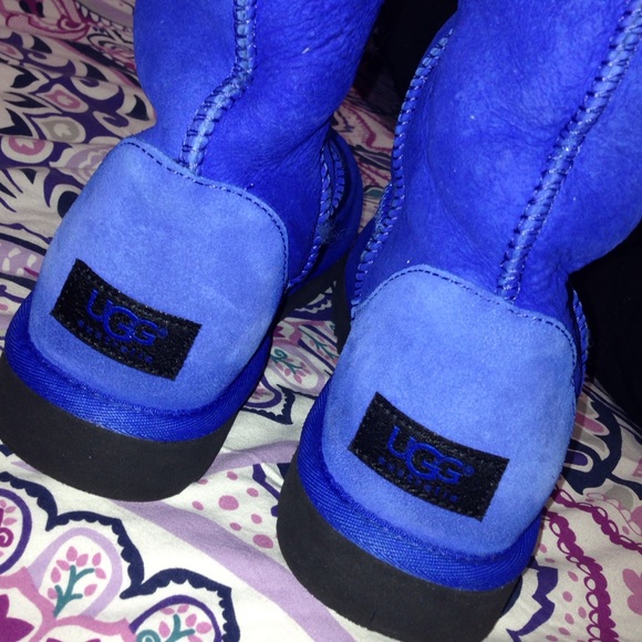 Blue Uggs Boots