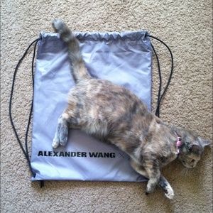 •new• alexander wang x h&m drawstring bag