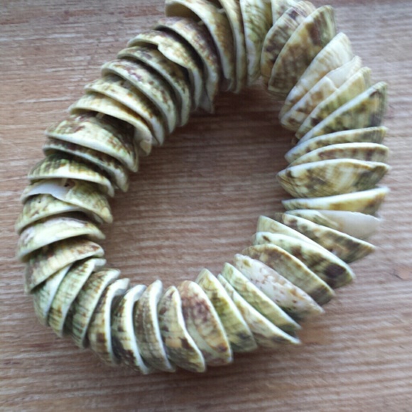 Shell  bracelet