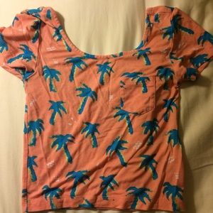 NOLLIE Palm Tree Crop