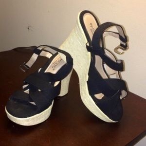 Pump wedges