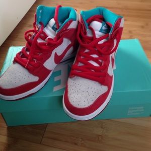 Nike dunks high top sb
