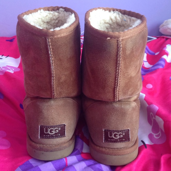 UGGS AND WELLING TO TRADE? - Picture 1 of 1