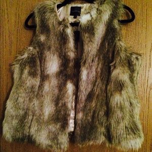 Fur Vest from The Limited