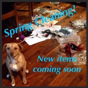 It's finally above freezing-Time for Spring clean!